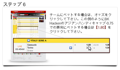 how-to-bet-jp-step6.jpg